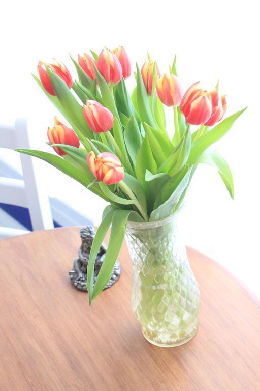 Bed and Breakfast Tulip Of Amsterdam Pokój zdjęcie