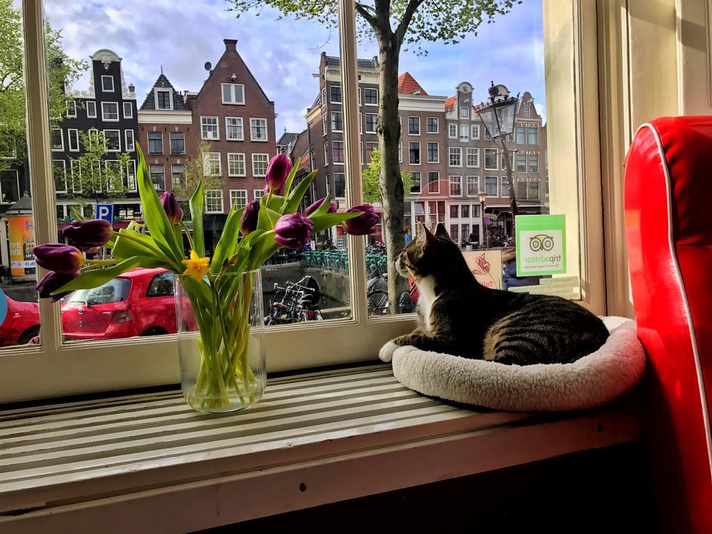 Bed and Breakfast Tulip Of Amsterdam Zewnętrze zdjęcie